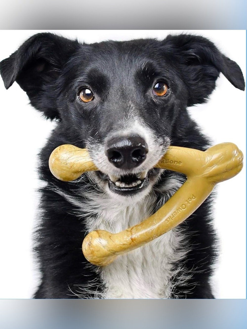 Pet Qwerks Wishbone BarkBone
